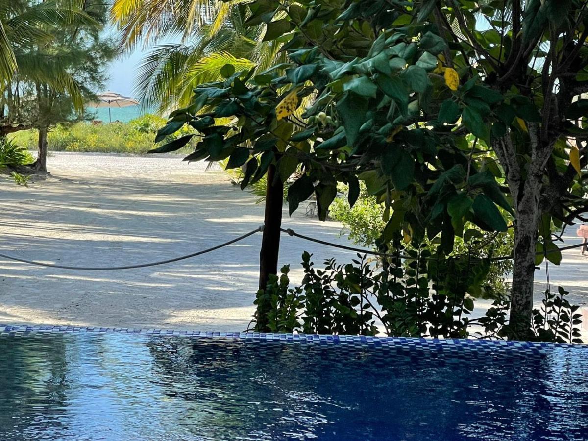 Casa Pirata Vila Ilha Holbox Exterior foto